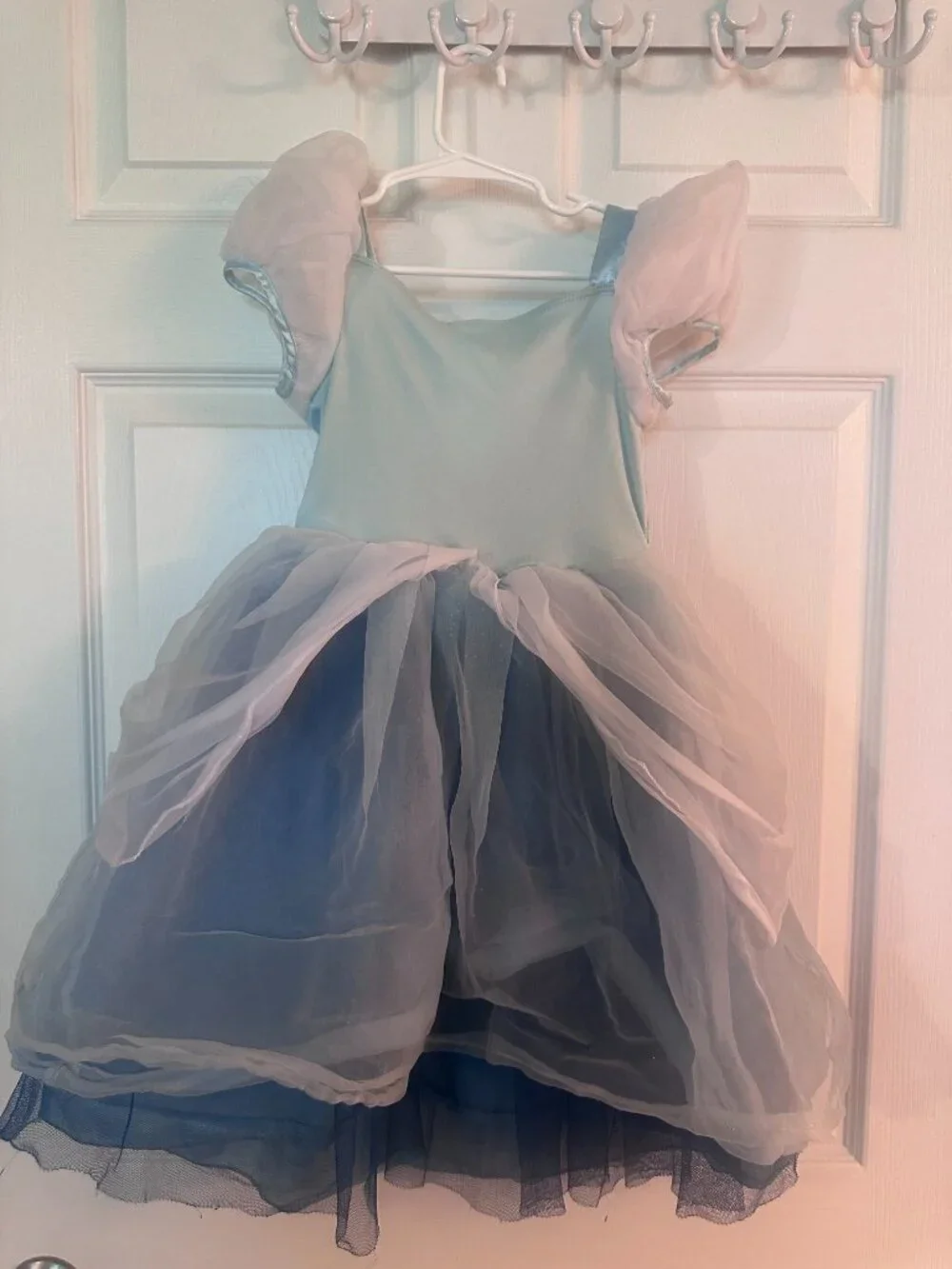Disney Cinderella Costume - Picture 2 of 4